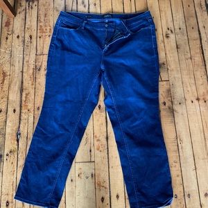 Talbots Jeans - Straight Cut - 18WP